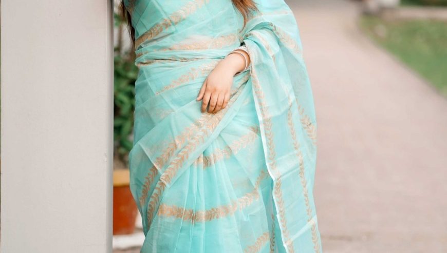 Block Print Sharee